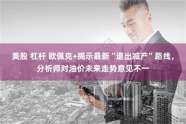 美股 杠杆 欧佩克+揭示最新“退出减产”路线，分析师对油价未来走势意见不一