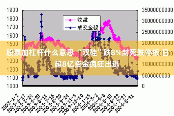 股票加杠杆什么意思 “双硅”跌8%封死跌停板 日超8亿资金疯狂出逃