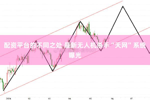 配资平台的不同之处 最新无人机杀手“天网”系统曝光