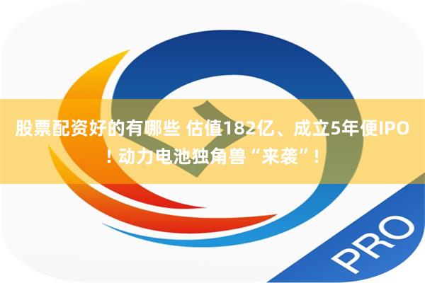 股票配资好的有哪些 估值182亿、成立5年便IPO! 动力电池独角兽“来袭”!