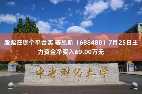 股票在哪个平台买 赛恩斯（688480）7月25日主力资金净买入69.00万元