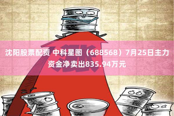 沈阳股票配资 中科星图（688568）7月25日主力资金净卖出835.94万元