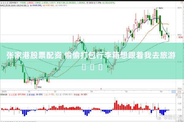 张家港股票配资 偷偷打包行李箱想跟着我去旅游 ​​​