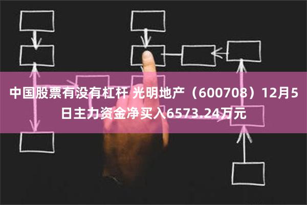 中国股票有没有杠杆 光明地产（600708）12月5日主力资金净买入6573.24万元