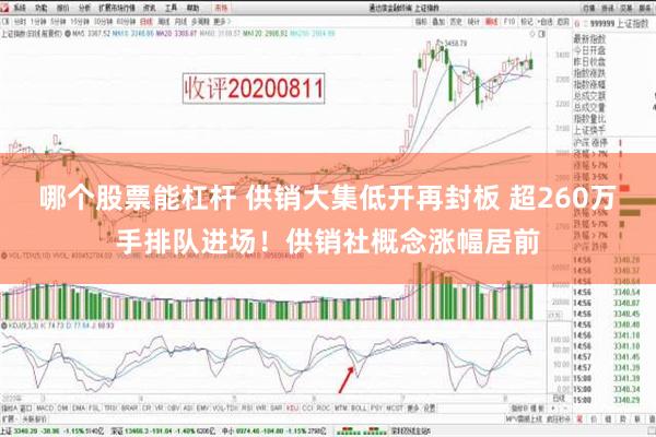 哪个股票能杠杆 供销大集低开再封板 超260万手排队进场！供销社概念涨幅居前