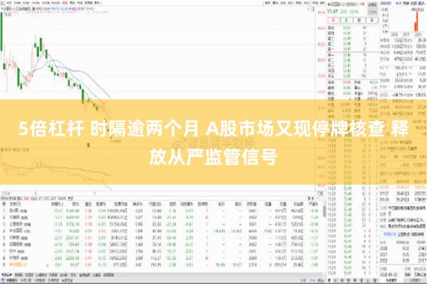 5倍杠杆 时隔逾两个月 A股市场又现停牌核查 释放从严监管信号