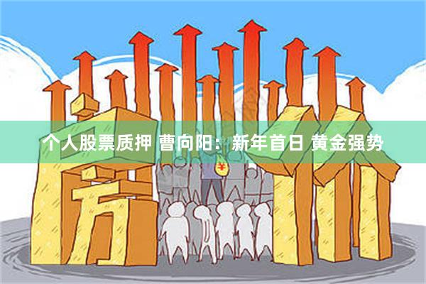 个人股票质押 曹向阳：新年首日 黄金强势