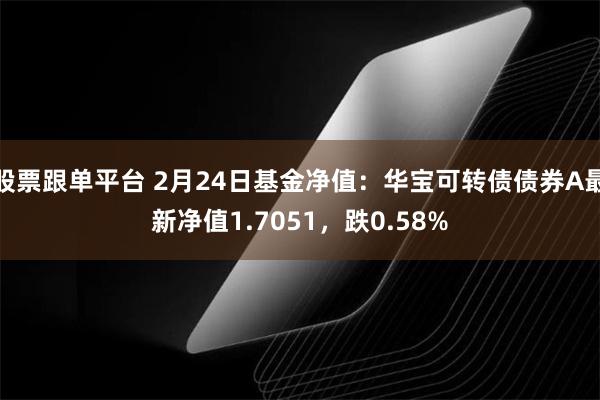 股票跟单平台 2月24日基金净值：华宝可转债债券A最新净值1.7051，跌0.58%