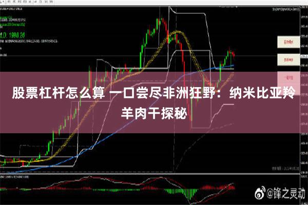 股票杠杆怎么算 一口尝尽非洲狂野：纳米比亚羚羊肉干探秘