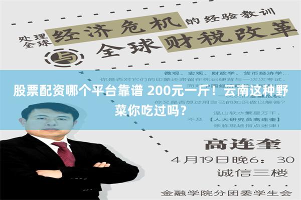 股票配资哪个平台靠谱 200元一斤！云南这种野菜你吃过吗？